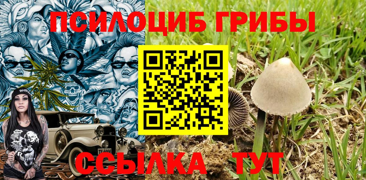 Псилоцибиновые грибы Magic Shrooms Канаш
